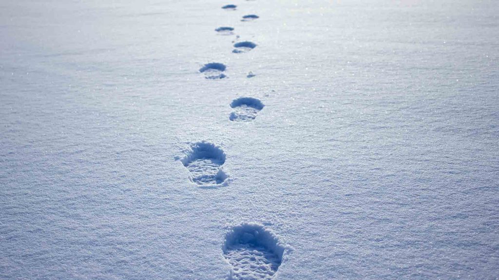 July 17 – Sojourners follow in Jesus’ steps