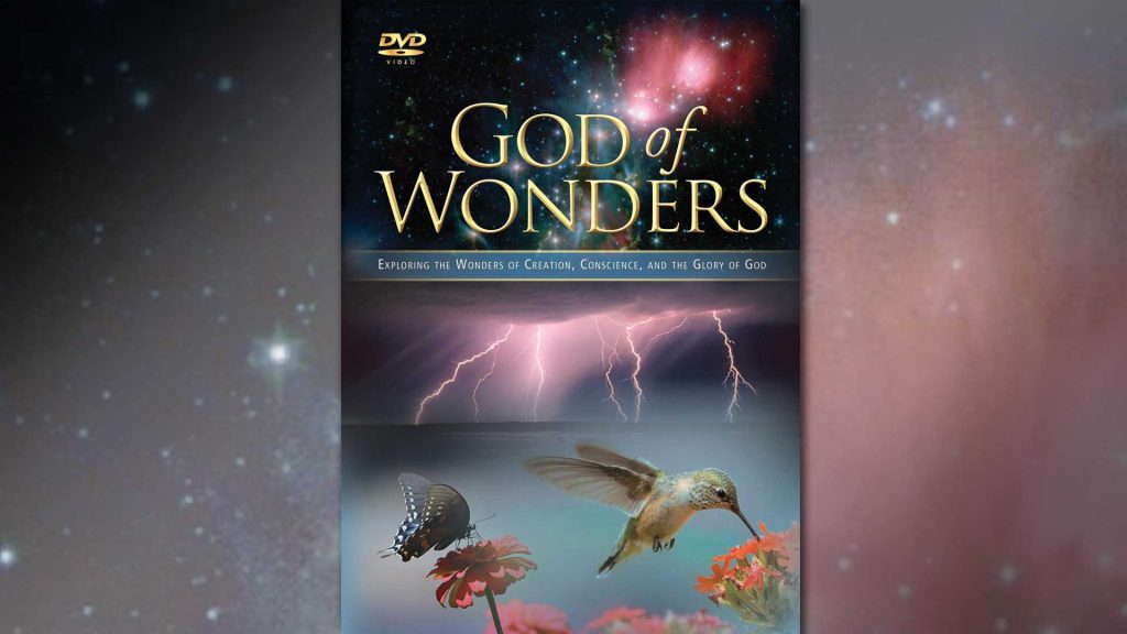 God of Wonders