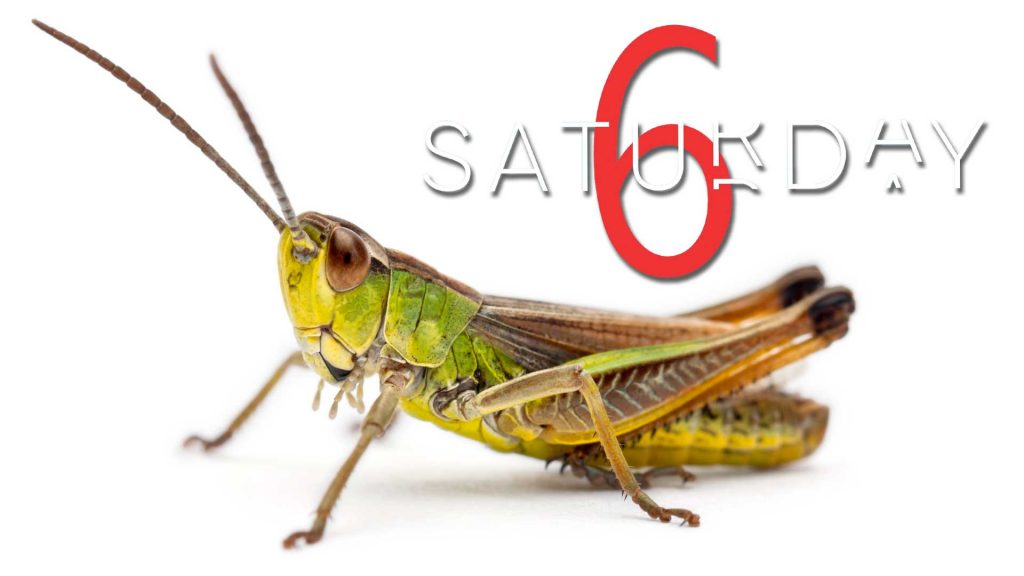 Saturday Selections – Sept 11, 2021