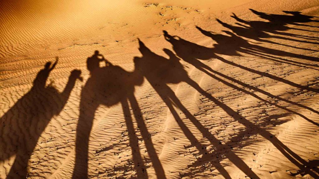 November 4 – The revelation of trials