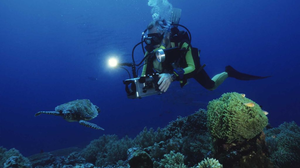 100+ documentaries to stretch and impress you
