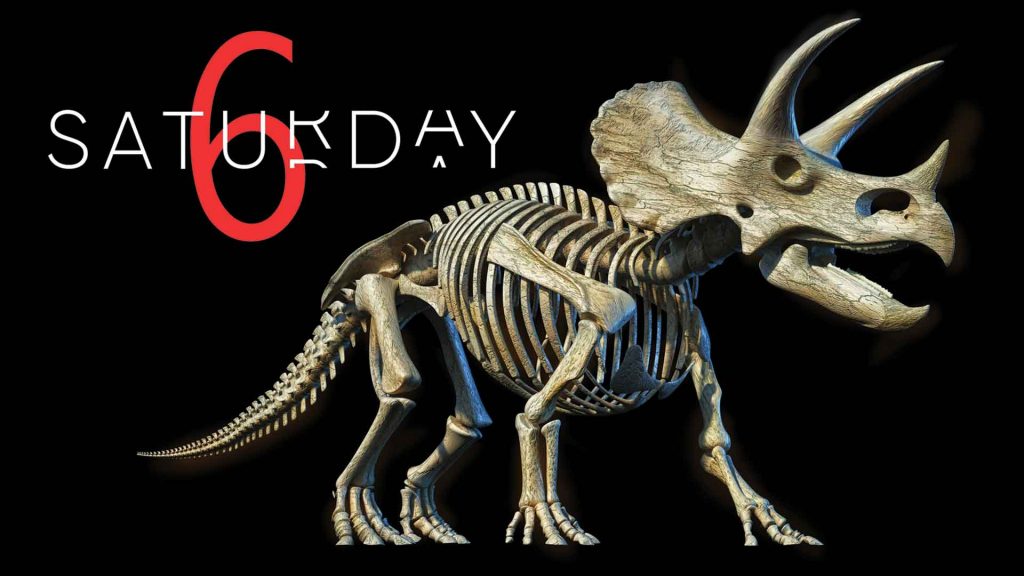 Saturday Selections – November 13, 2021