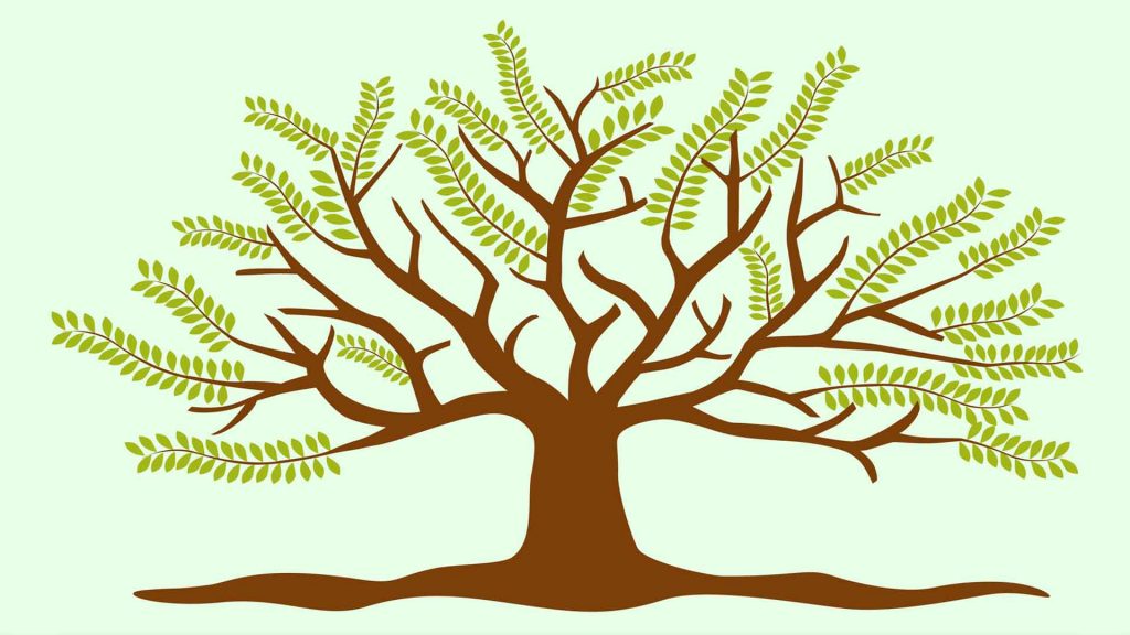 December 18 – The root and the branch