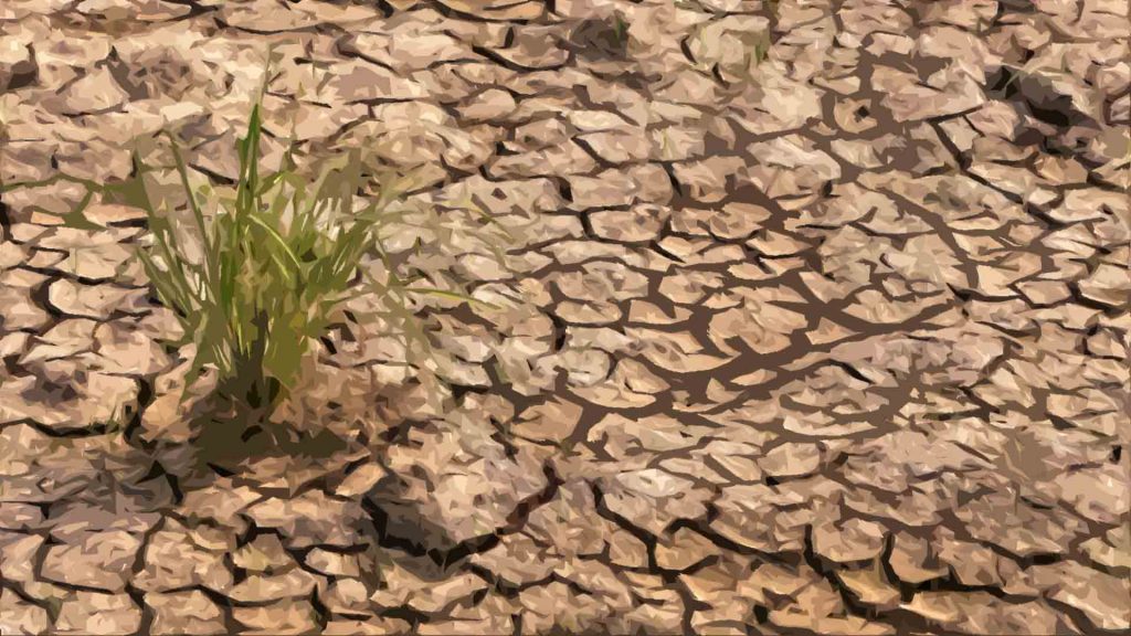 December 7 – Saviour of many 