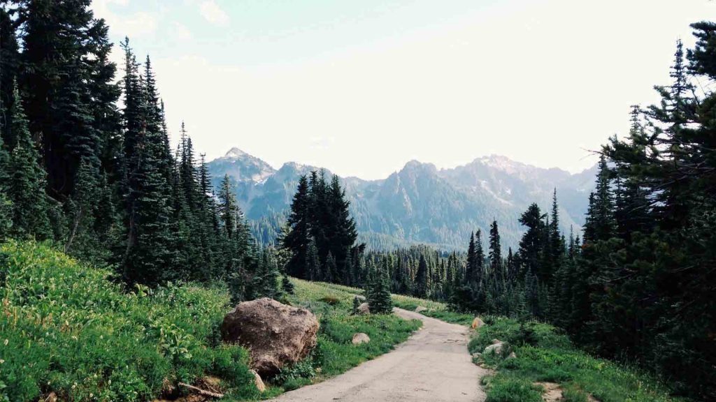 January 24 – Ask for the ancient paths 