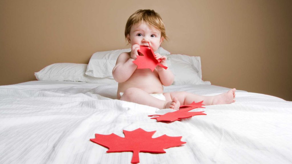 Not without a fight: the history of the pro-life movement in Canada