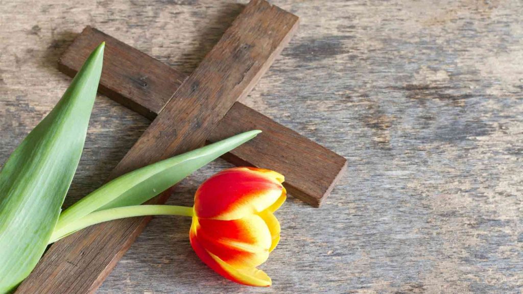 February 2 – I have loved you 