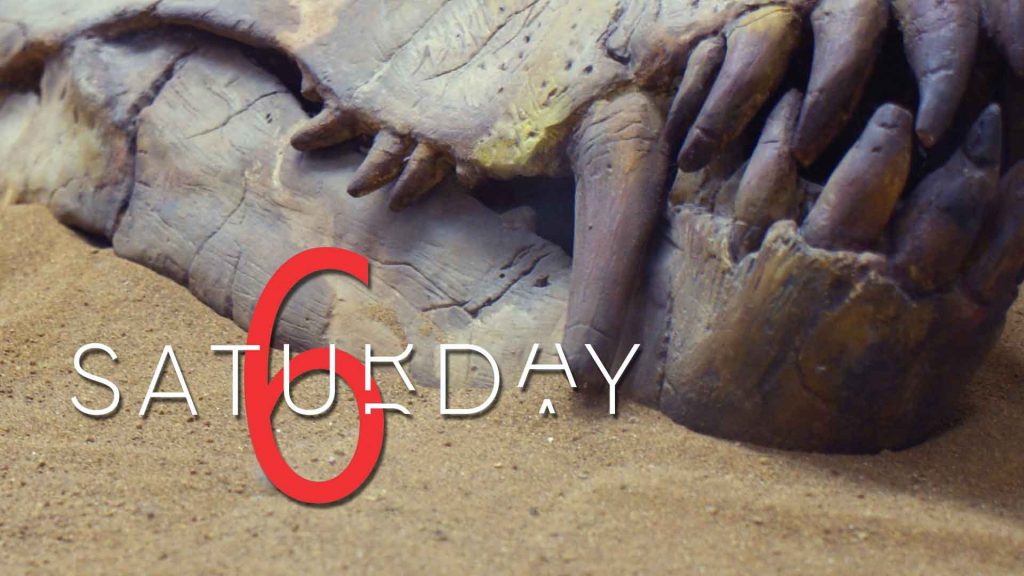 Saturday Selections – Feb. 19, 2022