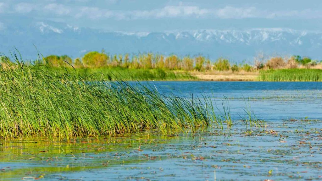 April 5 – God prepares deliverance through a special infancy