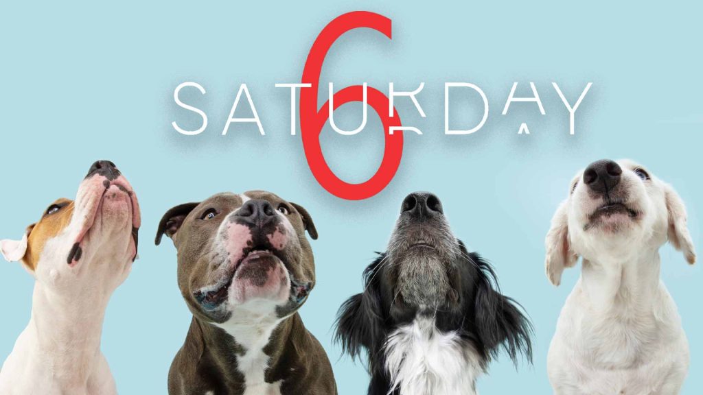 Saturday Selections – April 23, 2022