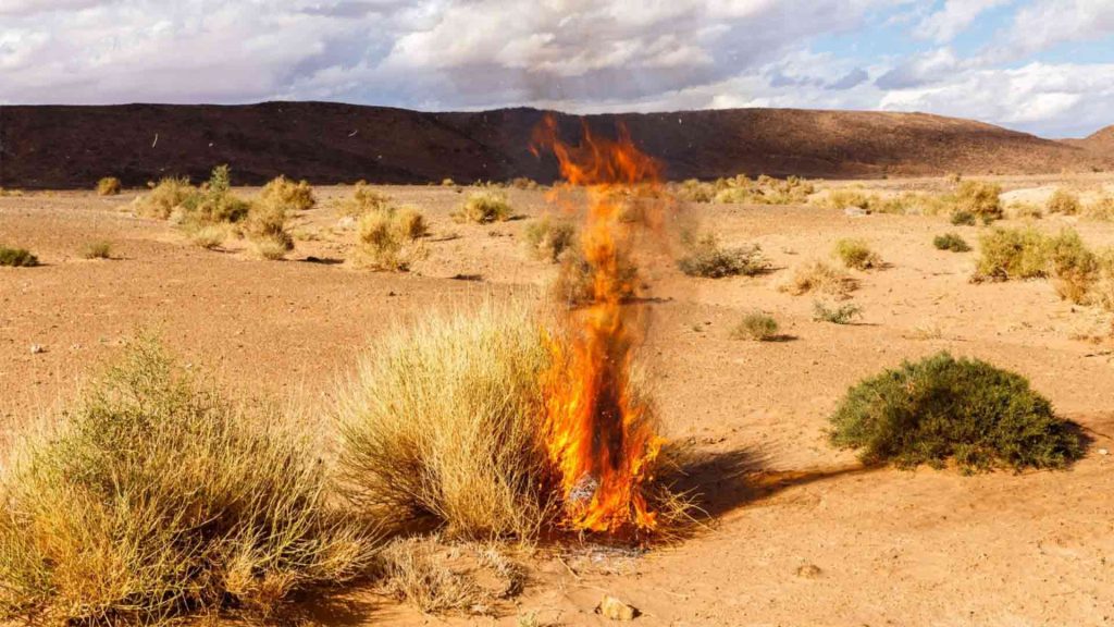 April 13 – Enlightened by the burning bush to the holiness of God