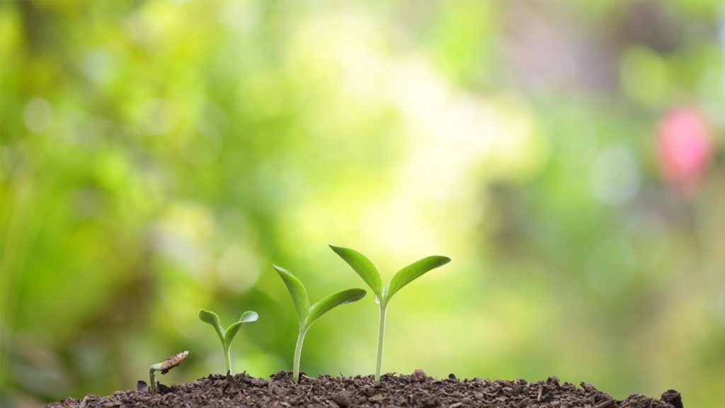 May 30 – Growing in grace, knowledge, and gratitude
