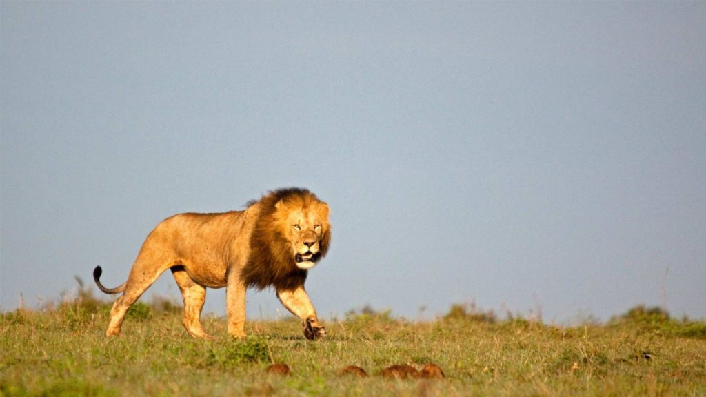 May 9 – Your own worst enemy