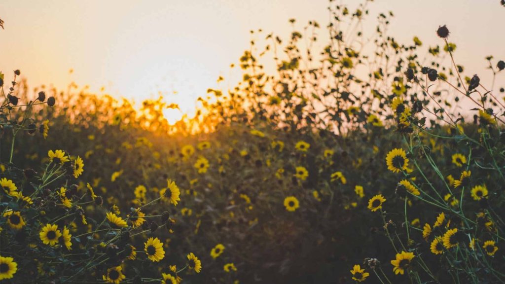 May 20 – God’s grace: The cause for our gratitude