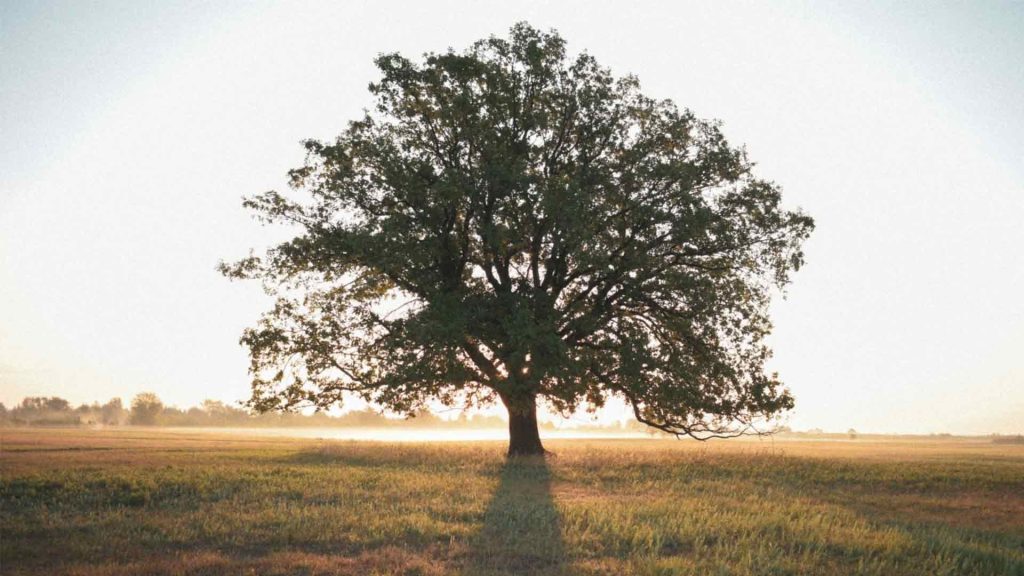 May 4 – Sinners and sin