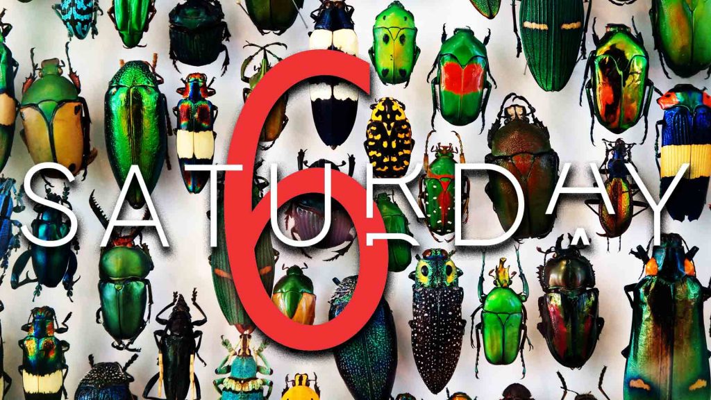 Saturday Selections – June 4, 2022