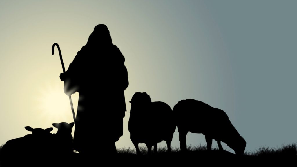 June 14 – The Lord is my shepherd