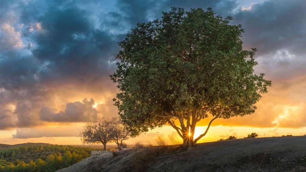 June 2 – The call of Isaiah