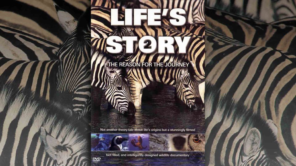 Life’s Story 2: the reason for the journey