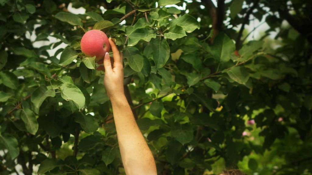 August 14 – The way we eat