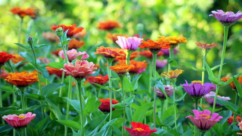 August 2 – My little children