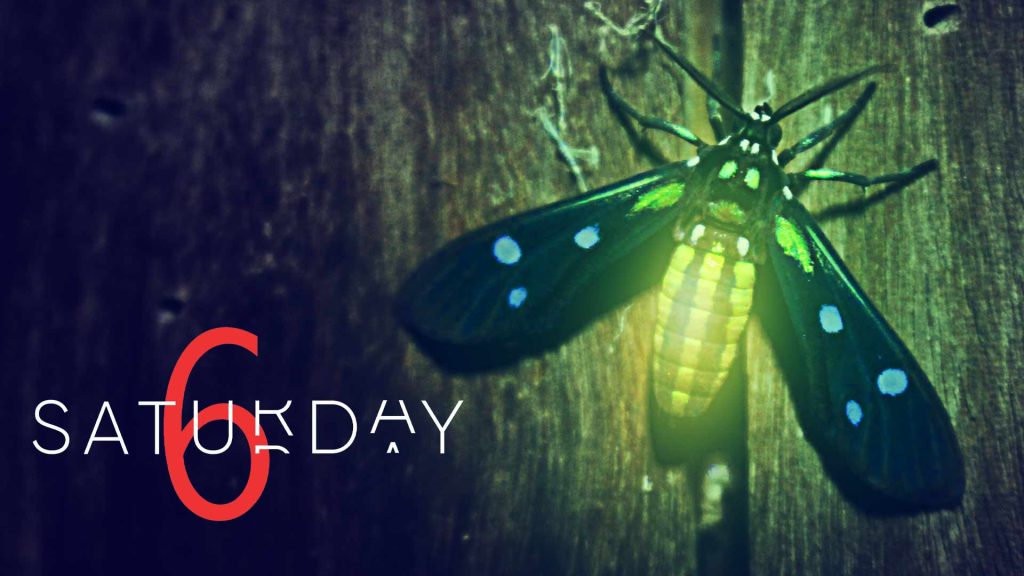 Saturday Selections – August 13, 2022
