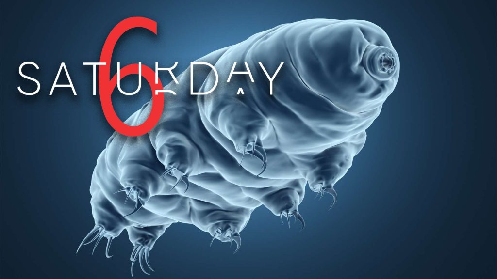 Saturday Selections – September 10, 2022