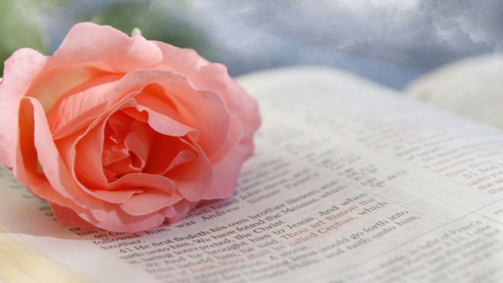 October 6 – Paul prays for a wise love