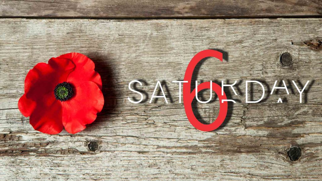 Saturday Selections – Nov 5, 2022