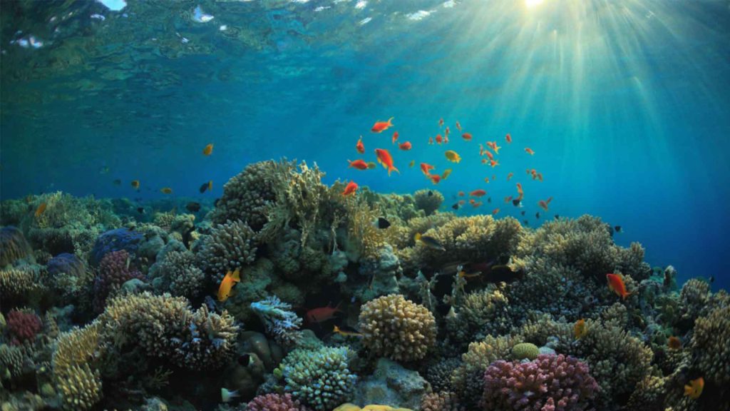November 13 – Hidden reefs