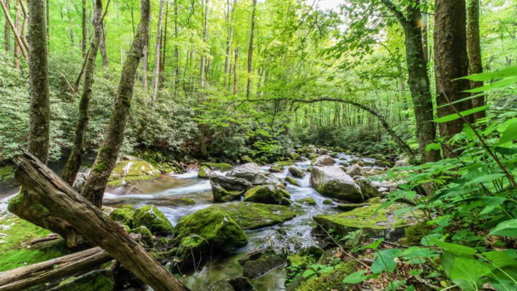 November 29 – The far greater Saviour
