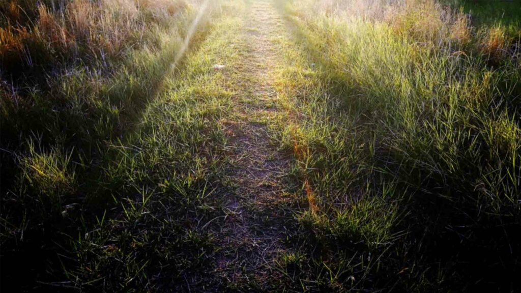 December 2 – Revealing what is taking place