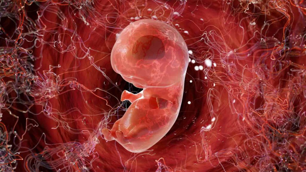 Abortion was the leading cause of death in 2022