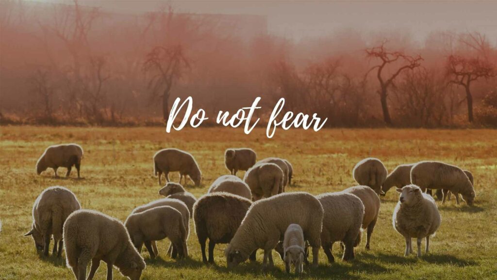 March 30 – Preparing without fear