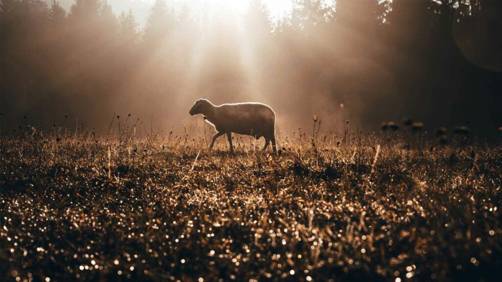 March 21 – Preparing with a reconciled heart 