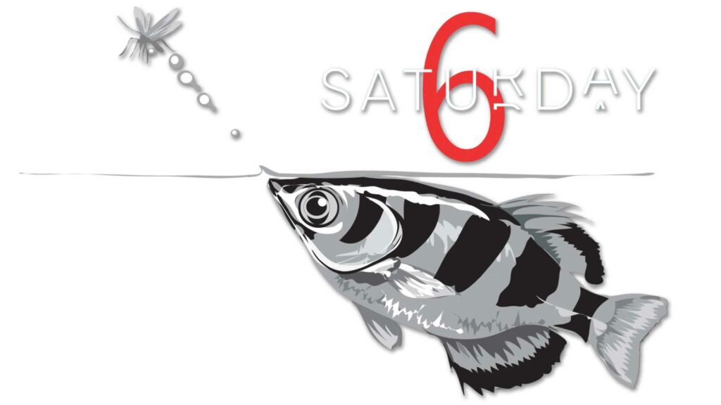 Saturday Selections – May 6, 2023