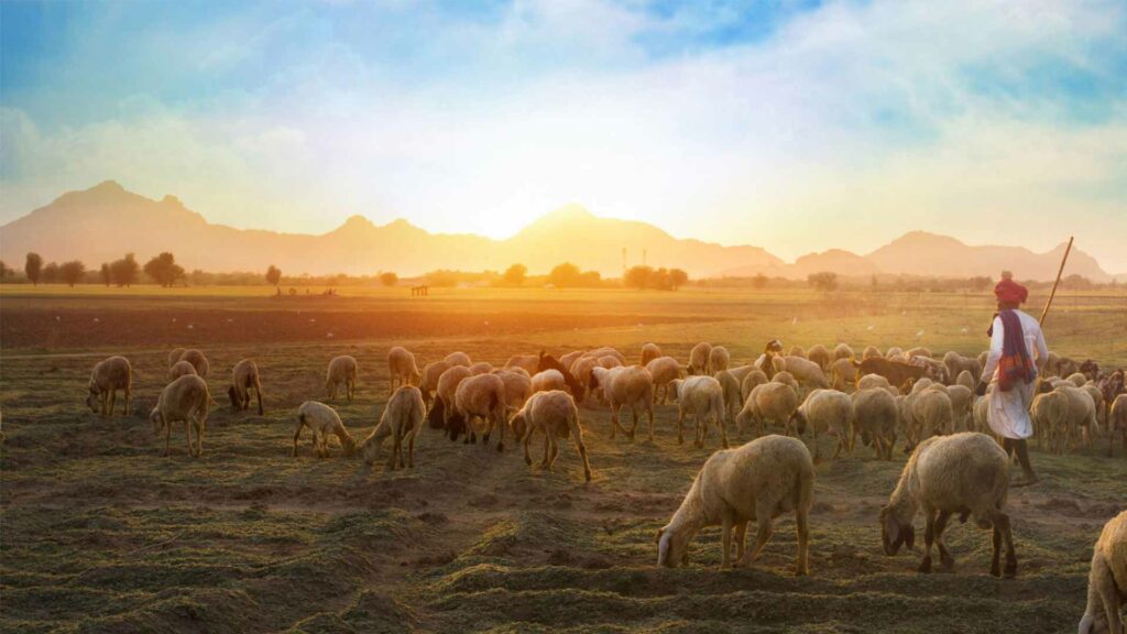 March 20 – Preparing as a sheep of the Good Shepherd 