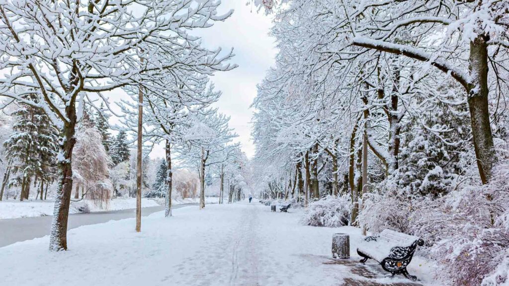 March 8 – Preparing with forgiveness