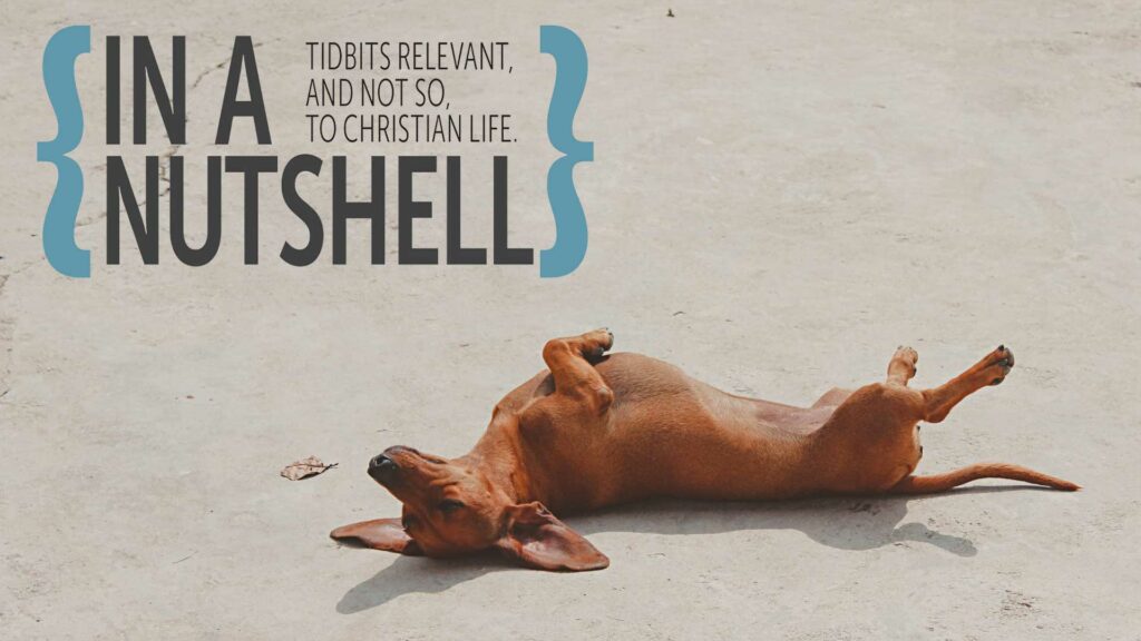 Tidbits – May 2023