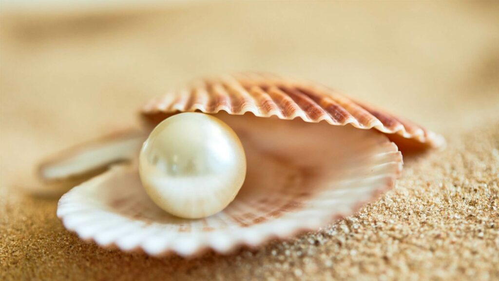 May 12 – Jesus, the pearl of great price