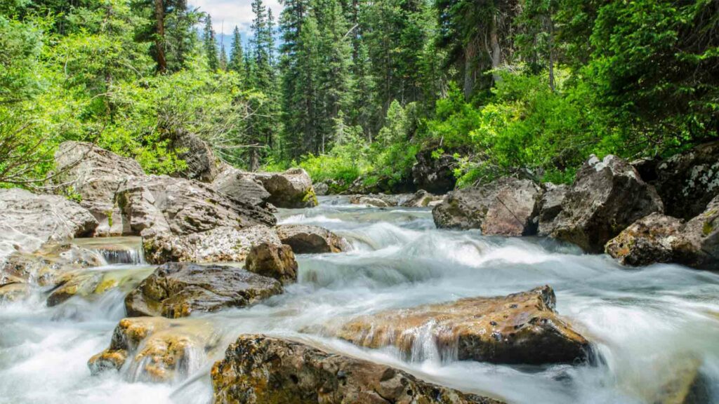 May 17 – Jesus, the fountain of living waters (II)