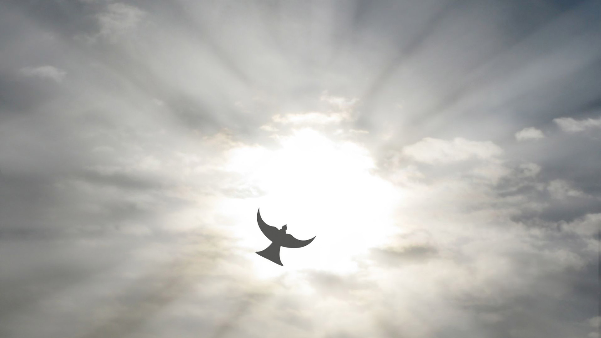 June 1 – Introduction to the Spirit | Reformed Perspective