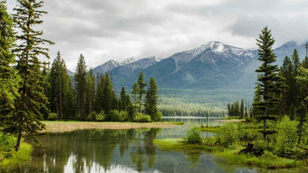 June 10 – The creator