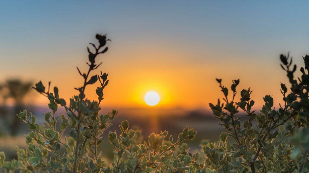 June 11 – God the creator, part II