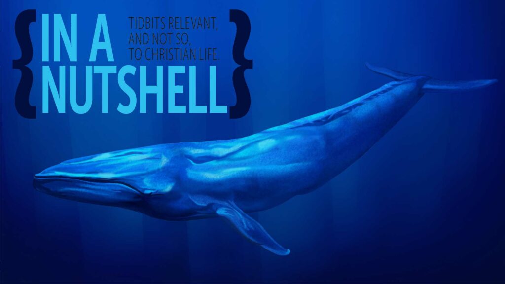 Tidbits – July 2023