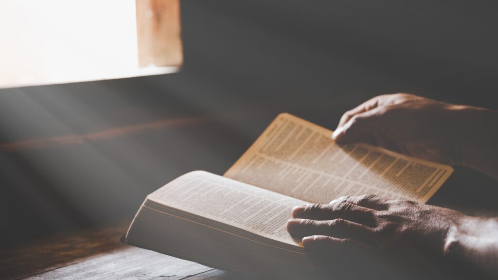 July 28 – Be sober-minded and watchful