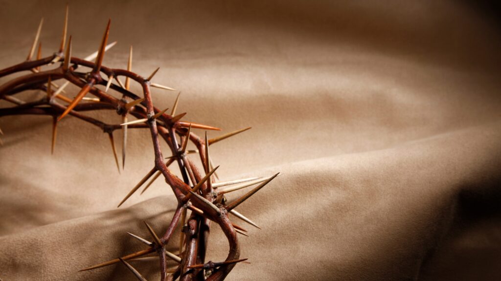 August 10 – O worship the King