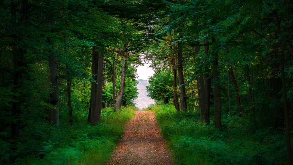 September 10 – With all your heart, in all your ways