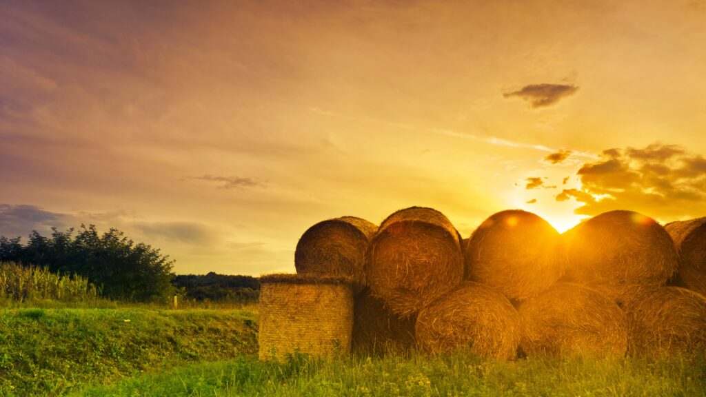 September 14 – Make hay while the sun shines