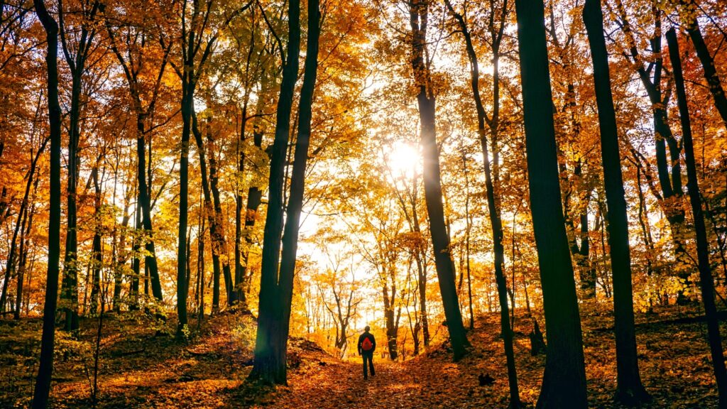 October 2 – Creation out of nothing!